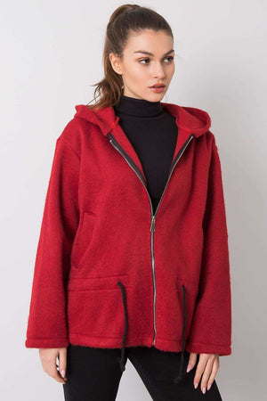 Mikina model 160634 Italy Moda