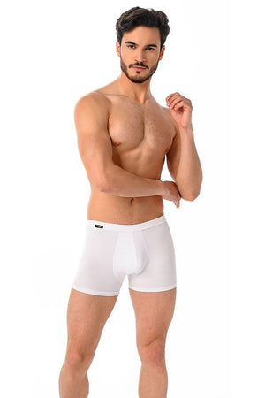 Boxerky model 182978 Teyli